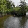 00131E2026DJI