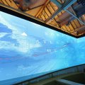 02869F2026